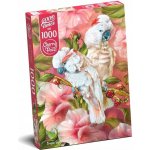 Cherry Pazzi Papoušci 1000 dílků – Sleviste.cz