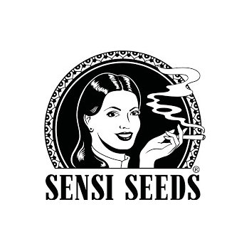 Sensi Seeds Skunk #1 semena neobsahují THC 5 ks