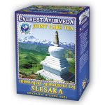 Everest Ayurveda SLESAKA Klouby a revmatizmus 100 g – Hledejceny.cz