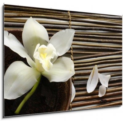 Obraz 1D - 100 x 70 cm - bowl of orchid, petal on bamboo mat miska orchideje, okvětní lístek na bambusové rohoži – Zbozi.Blesk.cz
