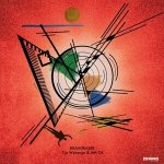 Tijn Wybenga - Brainteaser LP – Hledejceny.cz