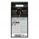 Pro Plan Large Puppy Robust Sensitive Digestion jehněčí 12 kg – Hledejceny.cz