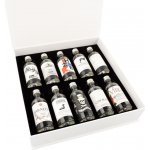 Box Gin World Tour 42,9% 10 x 0,05 l (set) – Zboží Dáma