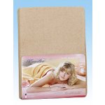 Bellatex prostěradlo froté béžové 90x200 – Hledejceny.cz