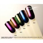 NL nails professional PIGMENT MIRROR CHAMELEON – Hledejceny.cz