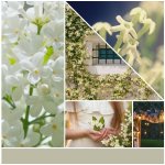Yankee Candle vonný vosk do aromalampy Půlnoční jasmín 22 g – Zboží Dáma