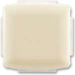 ABB Kryt zaslepovací 3902A-A001 C slonová kost – Hledejceny.cz