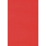 EFCO Pěnovka Moosgummi 30x45cm (1ks) červená 4mm – Zboží Dáma