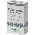 PROTEXIN Cobalaplex pro psy a kočky 60 kapslí – Hledejceny.cz