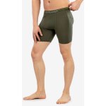 Icebreaker Mens Anatomica Long Boxers Loden – Hledejceny.cz