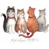 Přání se čtyřmi kočkami - design Alex Clark