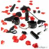 Sada erotických pomůcek ToyJoy Amazing Pleasure Sex Toy Kit