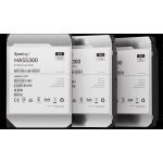 Synology HAS5300 8TB, HAS5300-8T – Hledejceny.cz
