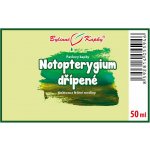 Bylinné kapky Notopterygium TCM Pavlovy bylinné kapky tinktura 50 ml – Hledejceny.cz