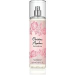 Christina Aguilera Definition tělový sprej 236 ml – Zboží Dáma