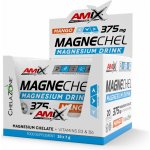 Amix Magnechel Magnesium Drink mango 20 x 7 g – Hledejceny.cz