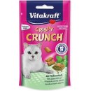Vitakraft Crispy Crunch Dental 60 g