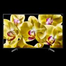 Sony Bravia KD-55XG8196