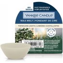 Yankee Candle vonný vosk Twinkling Lights 22 g