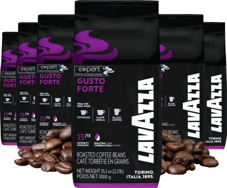 Lavazza Expert Gusto Forte 6 x 1 kg