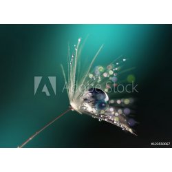 WEBLUX Fototapeta vliesová Beautiful dew drops on a dandelion seed macro. Beautiful blue background. Large golden dew drops on a parachute dandelion. Soft dreamy tender 200 x 144 cm