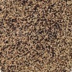 Deli Nature 50 Canaries Basic 4 kg – Hledejceny.cz