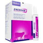 Energan Pansenstarter pst 12 x 325 g – Hledejceny.cz