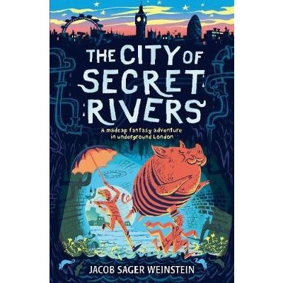 City of Secret Rivers Weinstein Jacob SagerPaperback