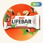 Lifefood Lifebar BIO RAW 40 g – Hledejceny.cz