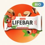 Lifefood Lifebar BIO RAW 40 g – Zbozi.Blesk.cz