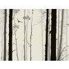 Tapety AG design FTNS-1262 vliesová fototapeta Mystic Forest rozměry 360 x 270 cm