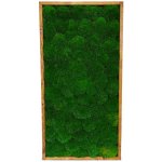 Mechový obraz - Kopečkový mech apple Druh rámu: 50x30cm – Sleviste.cz