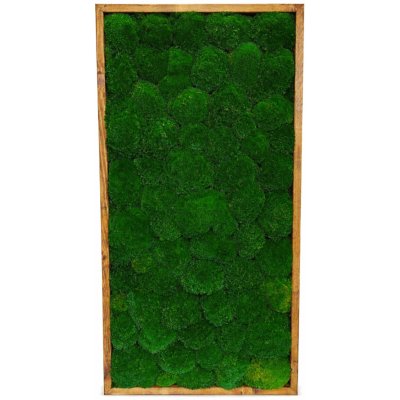 Mechový obraz - Kopečkový mech apple Druh rámu: 50x30cm – Sleviste.cz