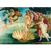 Puzzle BlueBird Botticelli Zrození Venuše 1485 4000 dílků