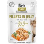 Brit Care Cat Fillets in Jelly Fine Trout & Cod 85 g – Sleviste.cz