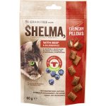 Shelma polštářky s hovězím a borůvkami 60 g – Zbozi.Blesk.cz