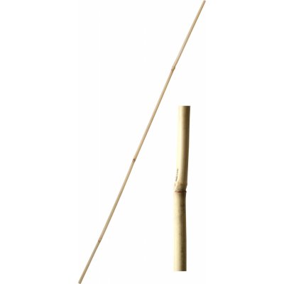 Tyč bambusová 120 cm tl. 12-14 mm - 10 ks – Zboží Mobilmania