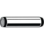 Manutan Válcový kolík kalený s vnitřním závitem DIN 7979 D Ocel 60 ± 2HRc Bez PU 8X20MM – Hledejceny.cz