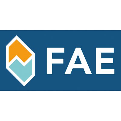 FAE Lambda sonda FAE 77700 – Hledejceny.cz