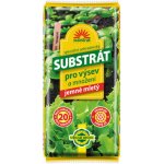 Forestina Hoštický Substrát pro výsev a množení 20 l – Zboží Dáma
