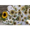 Chňapka Béžová bavlněná chňapka - rukavice se slunečnicemi Sunny Sunflowers - 18*30 cm