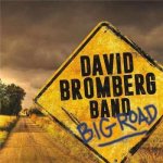 David Bromberg Band - Big Road LP – Hledejceny.cz