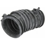 Sací hadice, vzduchový filtr THERMOTEC DPG003TT – Hledejceny.cz
