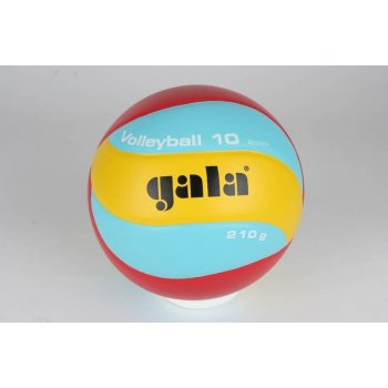 Gala Volleyball 10 BV5551S