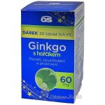 GS Ginkgo 2023 60 mg s hořčíkem 90+30 tablet – Sleviste.cz