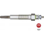 Ngk 6919 - Zhavici svicka