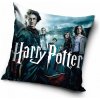 Dekorační polštář Tip Trade Polštář Harry Potter Čarodějovi učni 40 x40