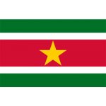 Vlajka Fostex Surinam 1,5x1 m – Hledejceny.cz