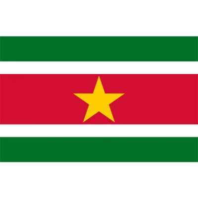 Vlajka Fostex Surinam 1,5x1 m – Hledejceny.cz