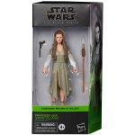 Hasbro Star Wars Episode VI 2022 Princess Leia Ewok Village Black Series – Sleviste.cz